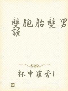 双胞胎双男主小说