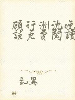 顾行洲沈晚宁小说免费阅读最新章节封面