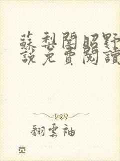 苏梨闻昭野的小说免费阅读全文