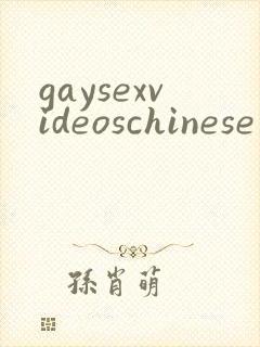 gaysexvideoschinese