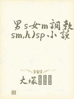 男s女m调教(sm,h)sp小说封面
