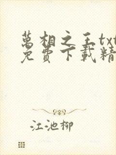 万相之王txt免费下载精校版