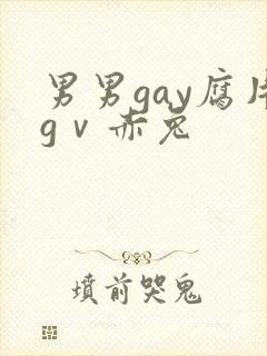 男男gay腐片gⅴ赤兔