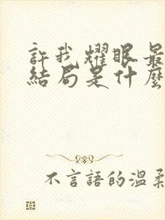 许我耀眼最后大结局是什么封面