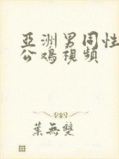 亚洲男同性恋大公鸡视频