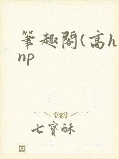 笔趣阁(高h)np
