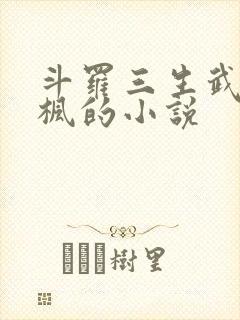 斗罗三生武魂叶枫的小说