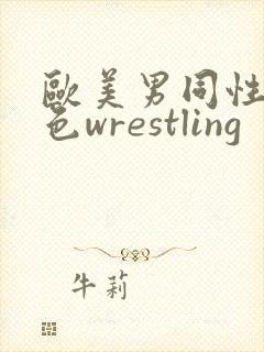 欧美男同性恋黄色wrestling封面