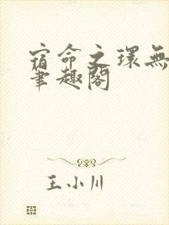 宿命之环无错版笔趣阁