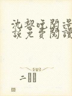 沈黎晚闻璟川小说免费阅读最新章节封面