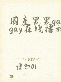 国产男男gaygay在线播放