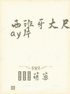 西班牙大尺度gay片