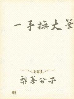 一手抚大笔趣阁