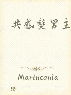 共感双男主漫画