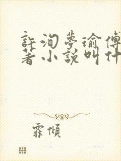 许洵梦瑜傅燃原著小说叫什么封面