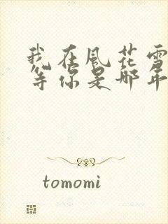 我在风花雪月里等你是哪年的小说封面