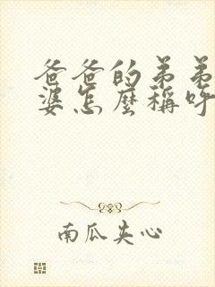 爸爸的弟弟的老婆怎么称呼