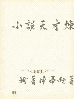 小说天才炼丹师