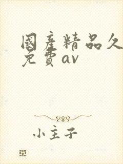 国产精品久久久免费av