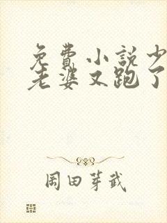 免费小说少帅你老婆又跑了