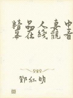 精品人妻中文字幕在线观看封面