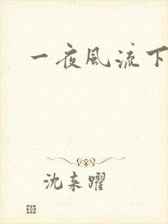 一夜风流下载封面
