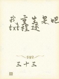 我重生是吧程逐txt程逐