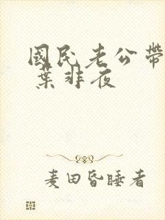 国民老公带回家 叶非夜