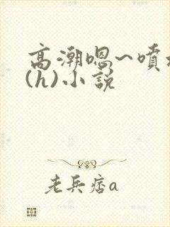 高潮嗯~喷水了(h)小说封面