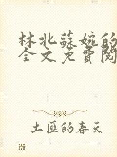 林北苏婉的小说全文免费阅读