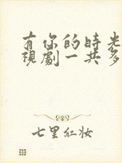 有你的时光里电视剧一共多少集封面