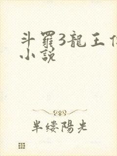 斗罗3龙王传说小说