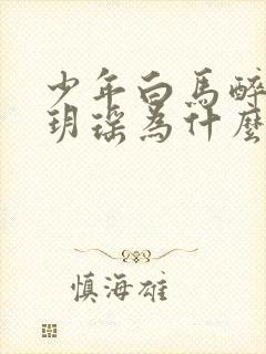 少年白马醉春风玥瑶为什么死封面