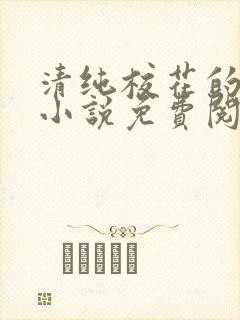 清纯校花的秘密小说免费阅读