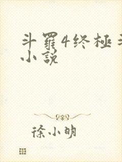 斗罗4终极斗罗小说
