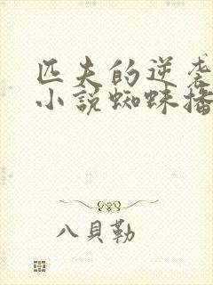 匹夫的逆袭有声小说蜘蛛播音