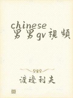 chinese男男gv视频网站