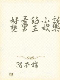 好看的小说推荐双男主娱乐圈