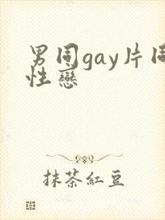 男同gay片同性恋