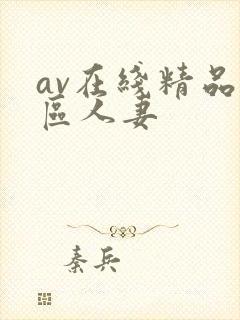 av在线精品一区人妻