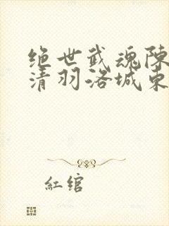 绝世武魂陈枫燕清羽洛城东