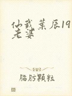 仙武叶辰19位老婆