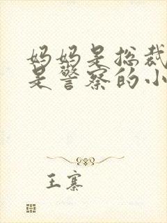 妈妈是总裁二姐是警察的小说