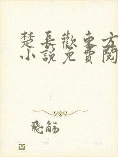 楚长欢东方玄夜小说免费阅读封面