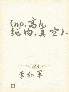 (np,高h,纯肉,真空)小说封面