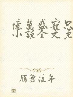 亿万盛宠只为你小说全文免费阅读