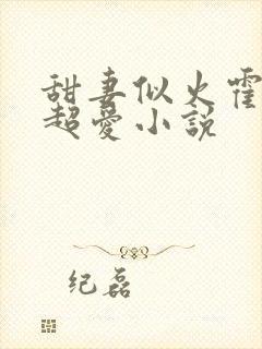 甜妻似火霍爷他超爱小说