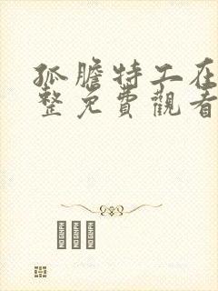 孤胆特工在线完整免费观看韩剧网