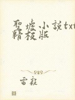 圣墟小说txt精校版封面