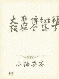 大圣传txt精校版全集下载